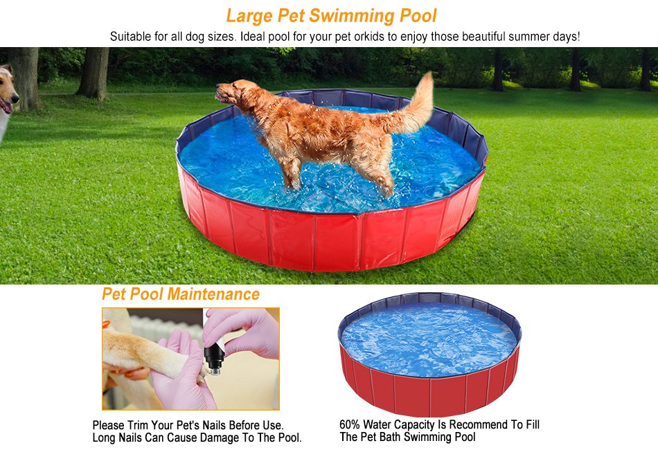 kiddie pool dog potty