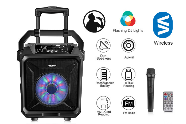 portable music system with mic