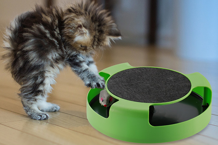cat toy with mouse inside