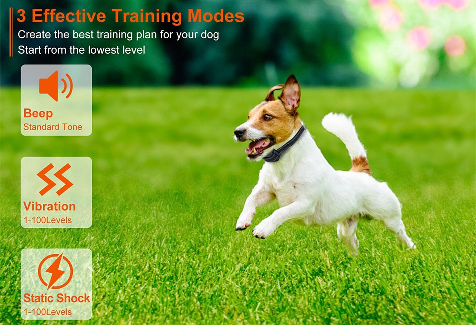 best dog vibration collar 3000ft Dog Training Electric Shock Training Collar Dogs Vibration Sound  E-Shock main image 0