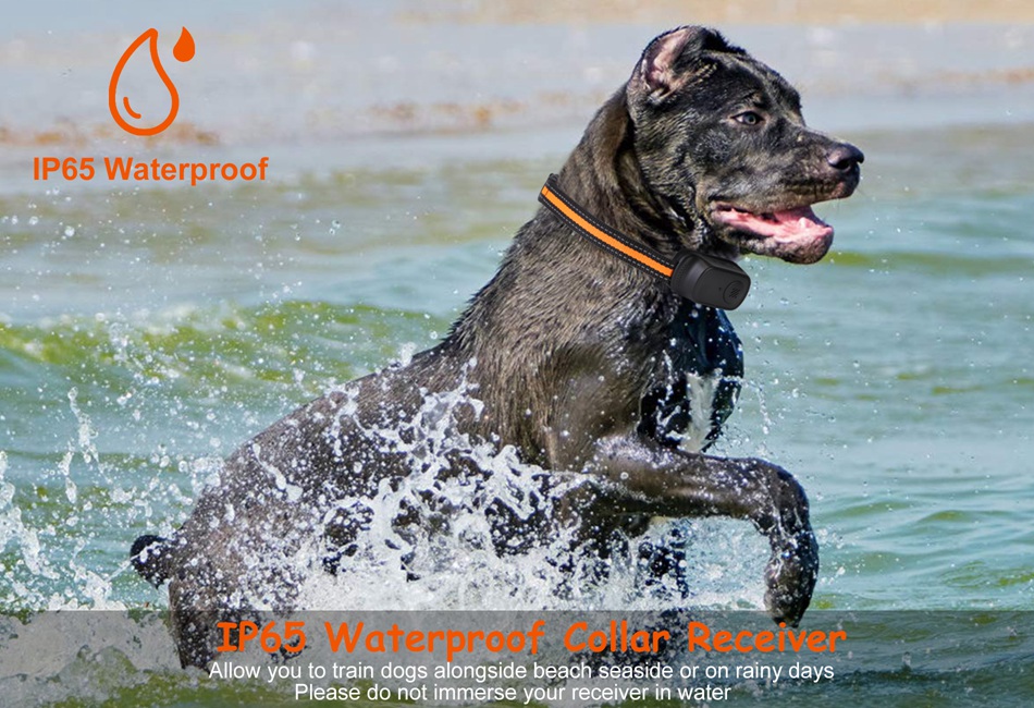 Wireless Dog Fence Uk Wireless Dog Fence Training Collar 984ft - Main Image