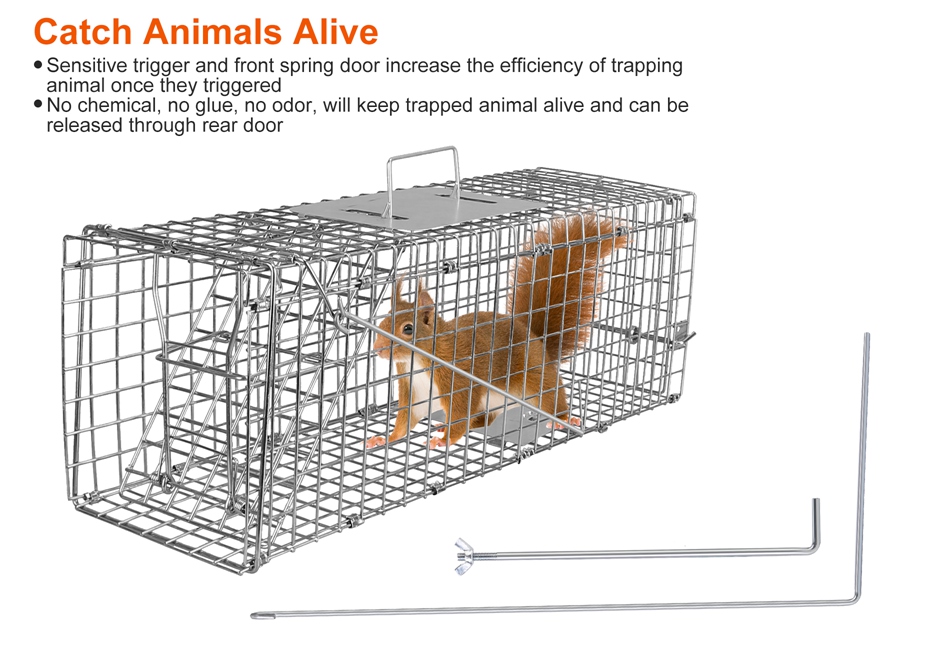 Humane Live Animal Trap 2-Door – For Rabbits, Raccoons, Cats, And Squirrels