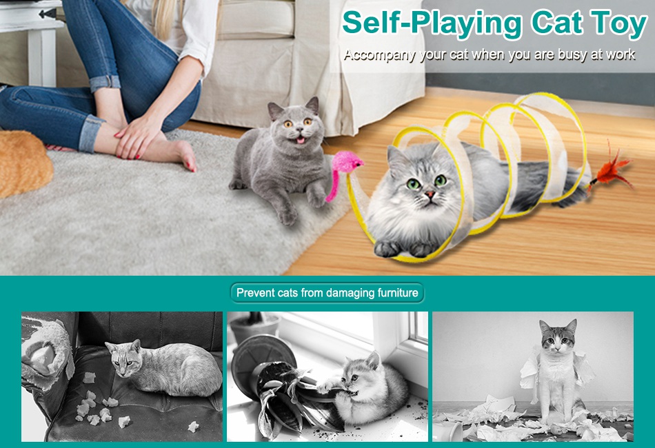 Entertained While Keep Cat Entertained Bored Cats Toys To