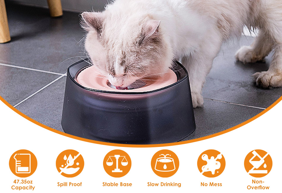 Dog Cat Water Bowl Spill Proof Slow Water Feeder No Spill