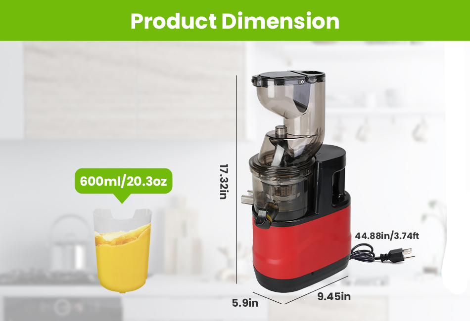 300W Cold Press Juicer Machine Slow Masticating Juicer Fruit Vegetable Juicer
