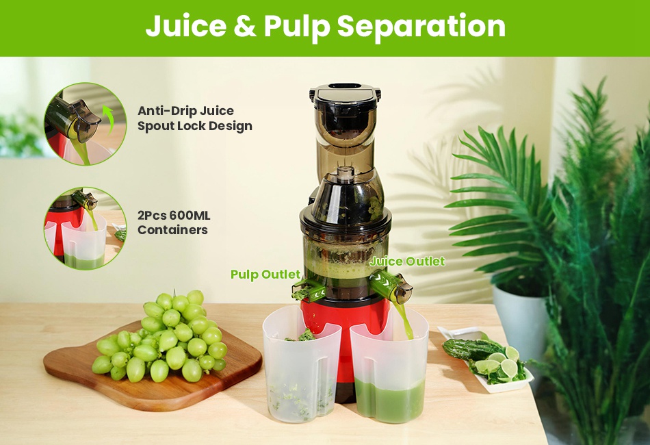 300W Cold Press Juicer Machine Slow Masticating Juicer Fruit Vegetable Juicer