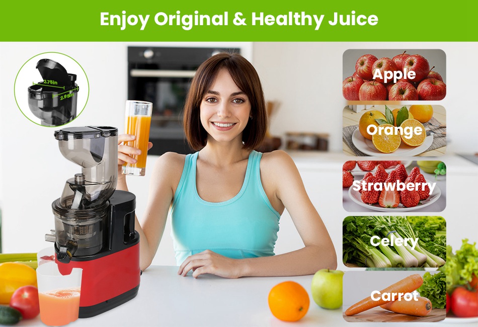 300W Cold Press Juicer Machine Slow Masticating Juicer Fruit Vegetable Juicer