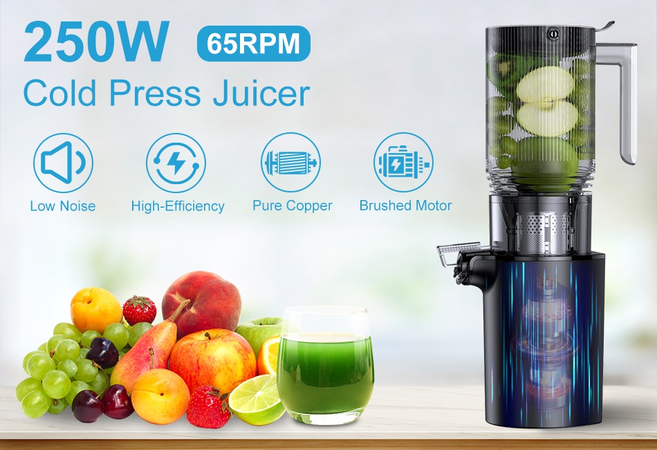 Cold Press Juicer Machine 250W Slow Masticating Juicer Juice Extractor Machine