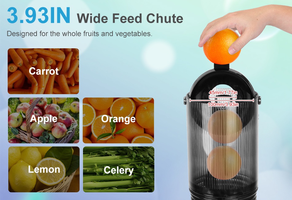 Cold Press Juicer Machine 250W Slow Masticating Juicer Juice Extractor Machine
