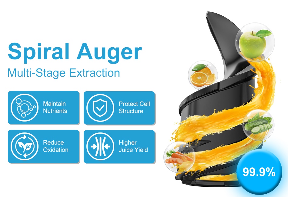 Cold Press Juicer Machine 250W Slow Masticating Juicer Juice Extractor Machine