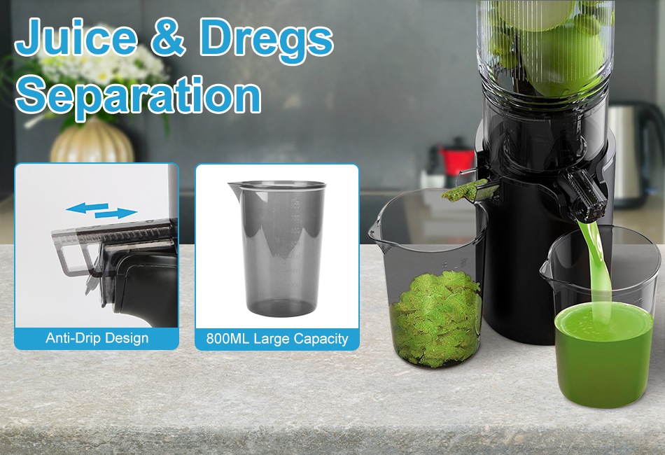 Cold Press Juicer Machine 250W Slow Masticating Juicer Juice Extractor Machine