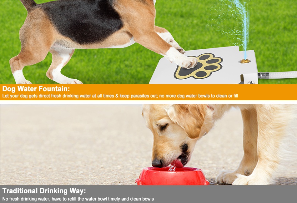 Dog Pet Drinking Activated Water Fountain With Step on Paw Pedal Valve
